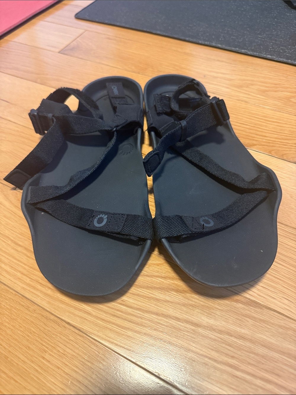 Xero Shoes Z-Trek barefoot sandals (M10/W11)
